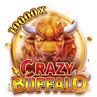 CRAZY BUFFALO