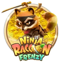 Ninja Racoon Frenzy