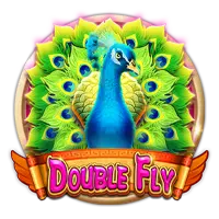 Double Fly
