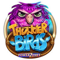 Power Zones Thunder Birds