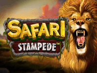 Safari Stampede