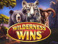 Wilderness Wins