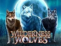 Wilderness Wolves